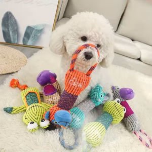 Plush Squeaky Dog Chew Toy