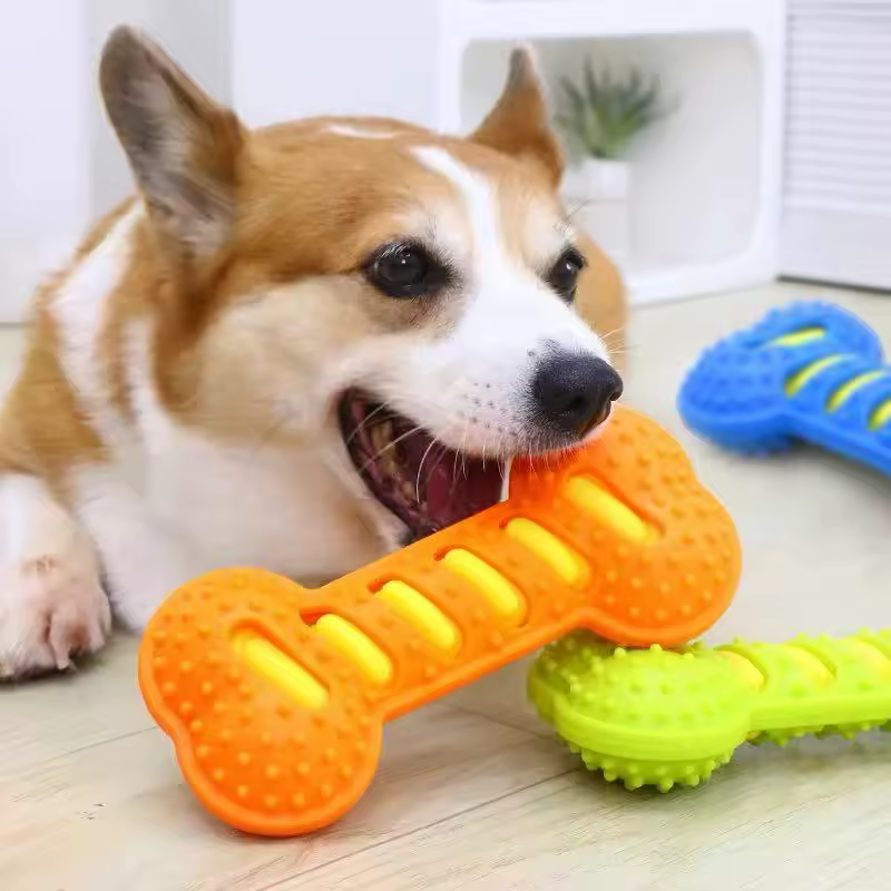 Rubber Dog Chew Toy