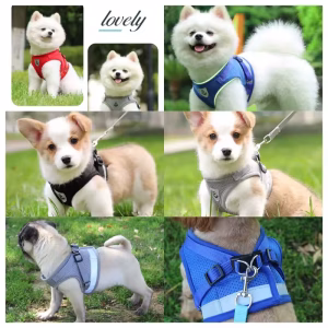 Adjustable Pet Safety Harness