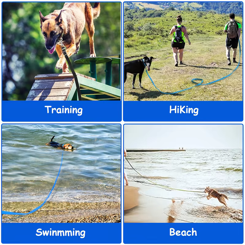 Lightweight Training Dog Leash