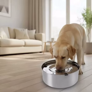 Anti Splash Dog Water Bowl