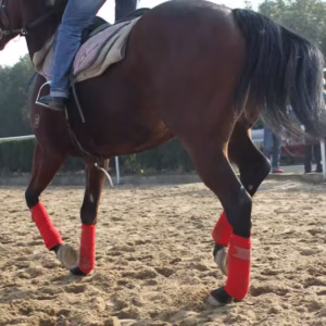 Horse Fleece Leg Wraps