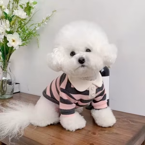 Casual Pet T-Shirt