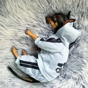 Pet Puppy Jumpsuit Outfit